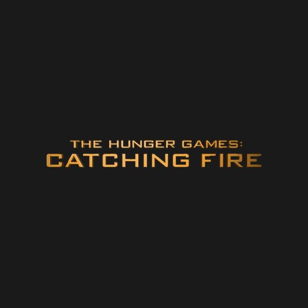 Cuadros The Hunger Games: Catching Fire (Los juegos del hambre: En llamas)