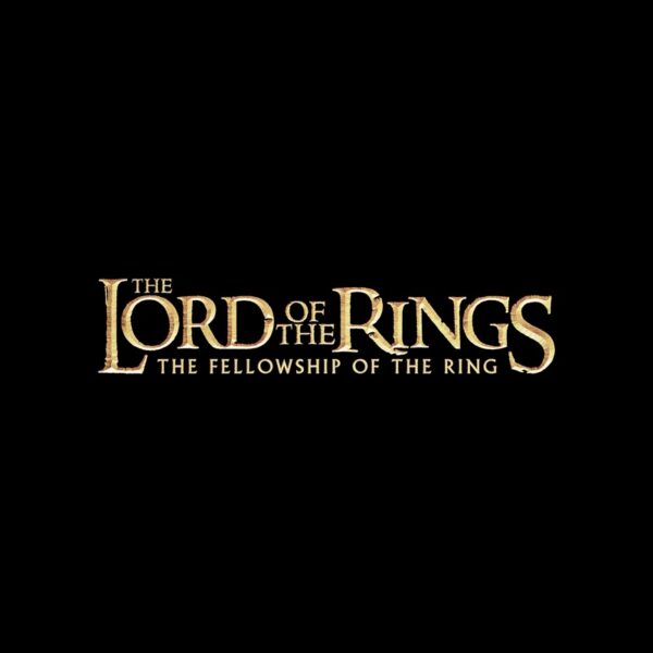 Cuadros The Lord of the Rings: The Fellowship of the Ring (El señor de los anillos: La comunidad del anillo)