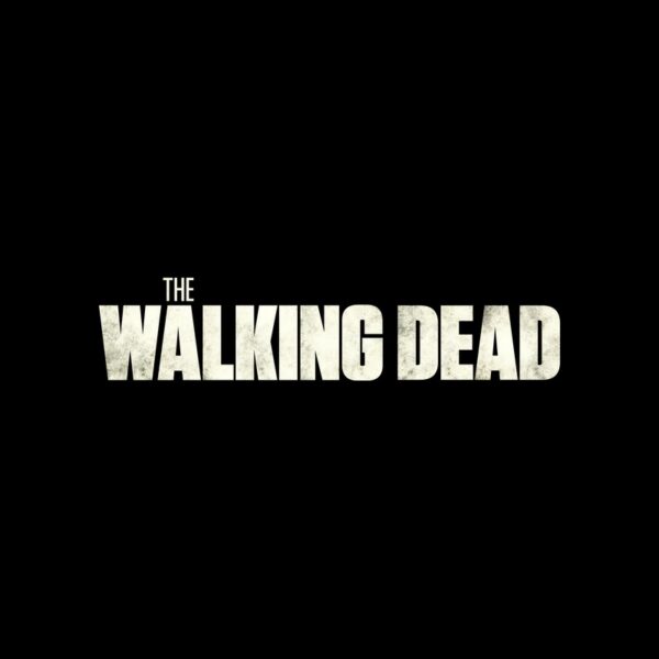 Cuadros The Walking Dead