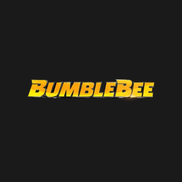 Cuadros Bumblebee