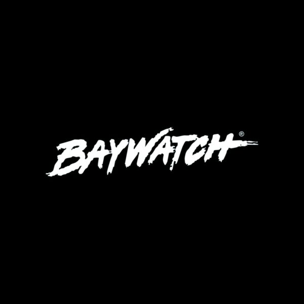 Cuadros Baywatch (Baywatch: Guardianes de la Bahía)