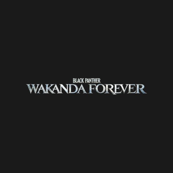 Cuadros Black Panther: Wakanda Forever (Pantera Negra: Wakanda por siempre)