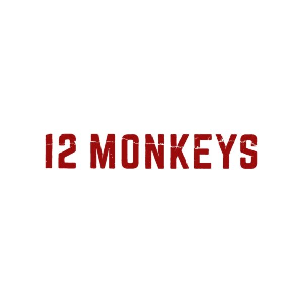Cuadros Twelve Monkeys (12 monos)