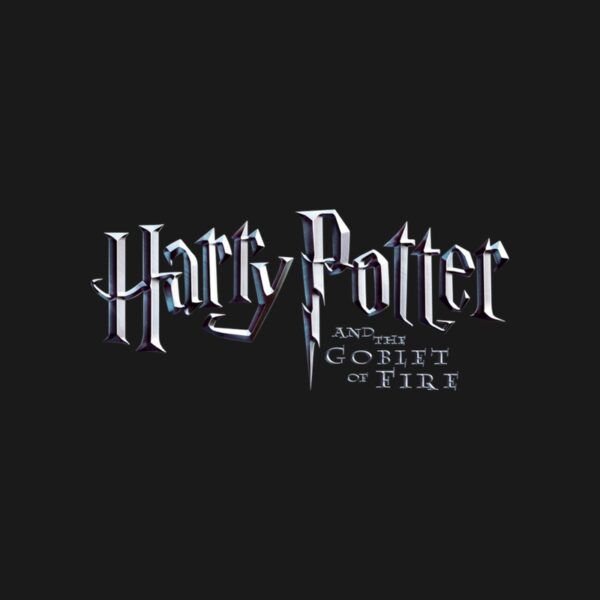 Cuadros Harry Potter and the Goblet of Fire (Harry Potter y el cáliz de fuego)