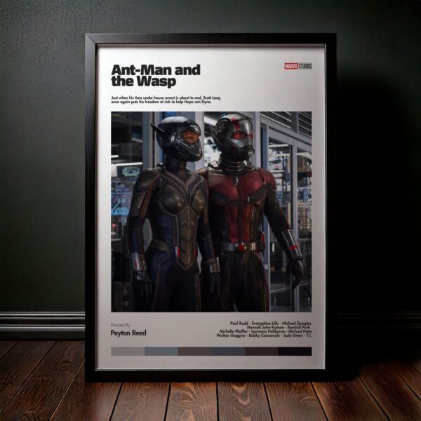 Cuadro Ant-Man and the Wasp (Ant-Man 2: La Avispa) Modelo 04