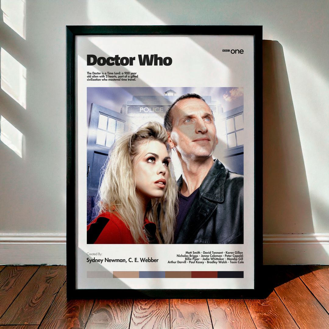 Cuadro Doctor Who Modelo 14