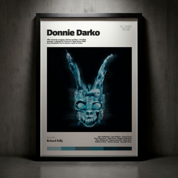 Cuadro Donnie Darko Modelo 01