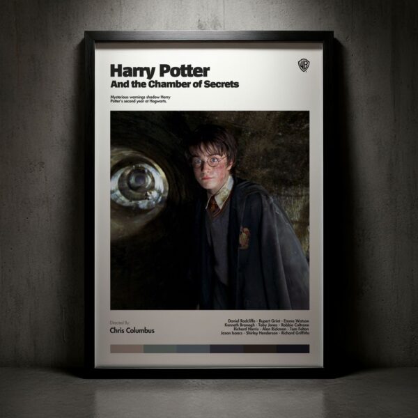 Cuadro Harry Potter and the Chamber of Secrets (Harry Potter y la cámara secreta) Modelo 03