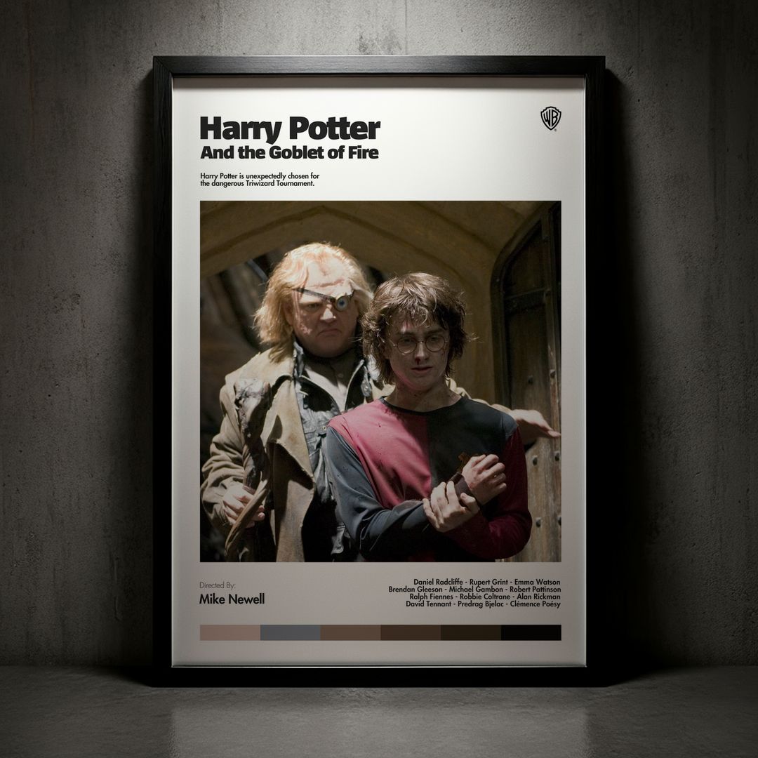 Cuadro Harry Potter and the Goblet of Fire (Harry Potter y el cáliz de fuego) Modelo 03
