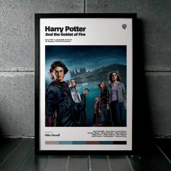 Cuadro Harry Potter and the Goblet of Fire (Harry Potter y el cáliz de fuego) Modelo 01
