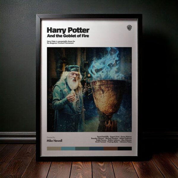 Cuadro Harry Potter and the Goblet of Fire (Harry Potter y el cáliz de fuego) Modelo 04
