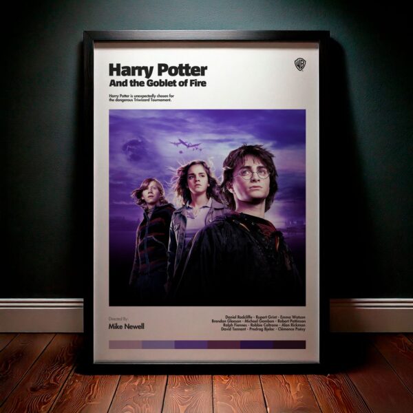 Cuadro Harry Potter and the Goblet of Fire (Harry Potter y el cáliz de fuego) Modelo 05