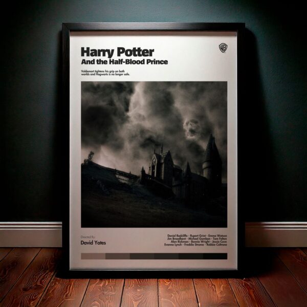 Cuadro Harry Potter and the Half-Blood Prince (Harry Potter y el misterio del príncipe) Modelo 03