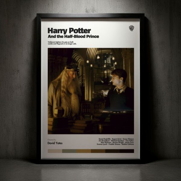 Cuadro Harry Potter and the Half-Blood Prince (Harry Potter y el misterio del príncipe) Modelo 04