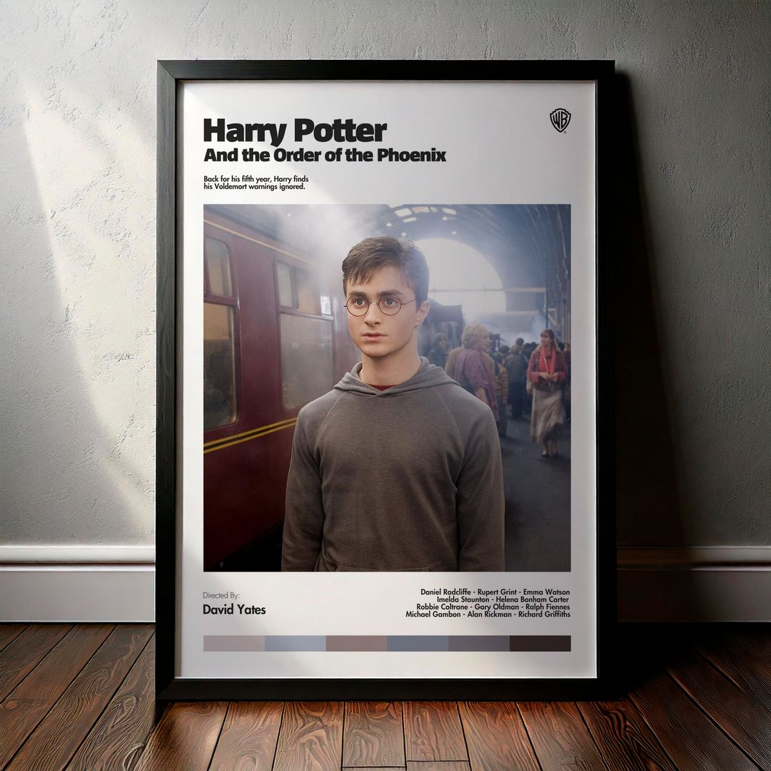 Cuadro Harry Potter and the Order of the Phoenix (Harry Potter y la orden del Fénix) Modelo 02