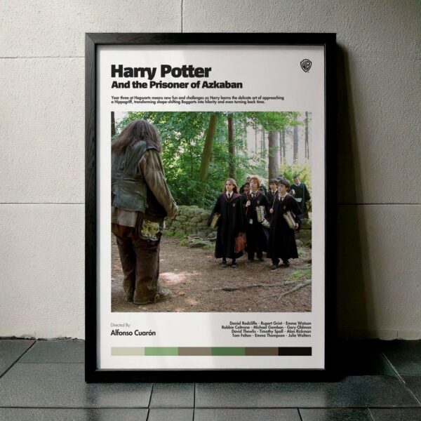 Cuadro Harry Potter and the Prisoner of Azkaban (Harry Potter y el prisionero de Azkaban) Modelo 09