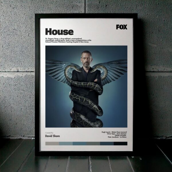 Cuadro House (Dr. House) Modelo 01
