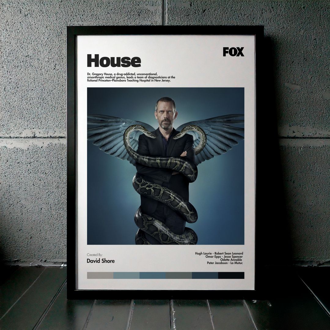 Cuadro House (Dr. House) Modelo 01