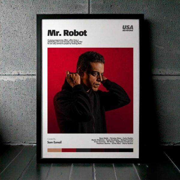 Cuadro Mr. Robot Modelo 04