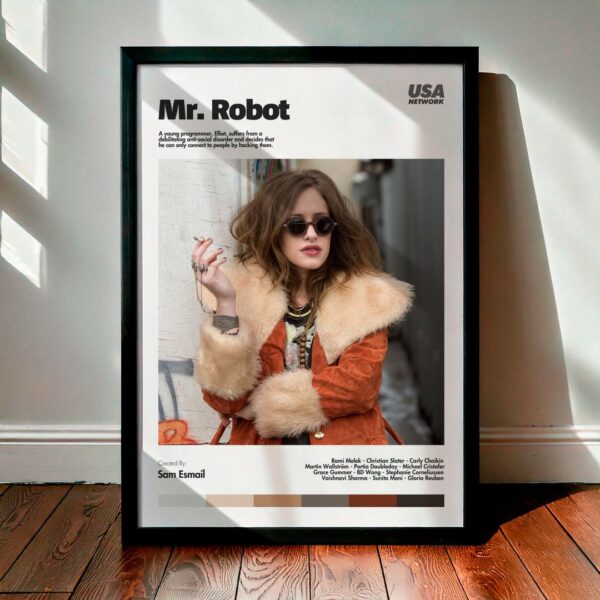 Cuadro Mr. Robot Modelo 06