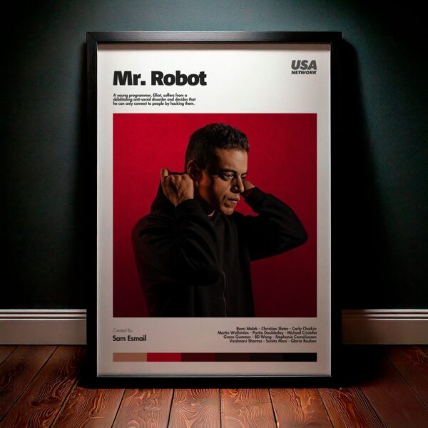 Cuadro Mr. Robot Modelo 07