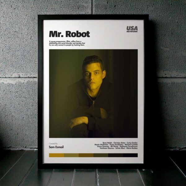 Cuadro Mr. Robot Modelo 09