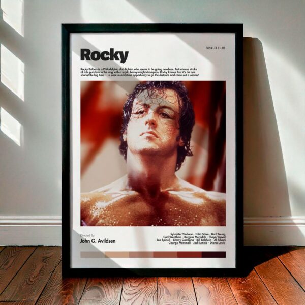 Cuadro Rocky Modelo 02
