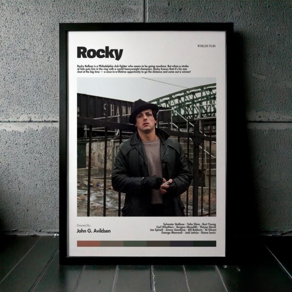 Cuadro Rocky Modelo 06