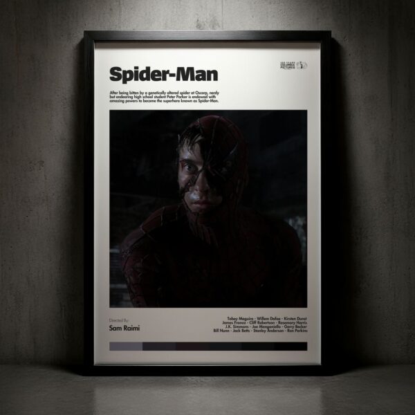 Cuadro Spider-Man (El hombre araña) Modelo 07