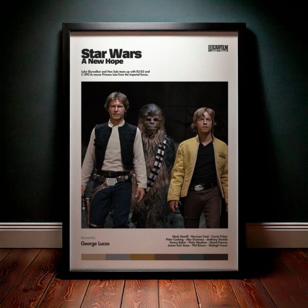 Cuadro Star Wars: A New Hope Modelo 08