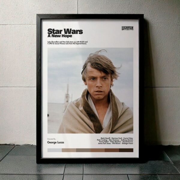 Cuadro Star Wars: A New Hope Modelo 02