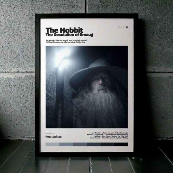 Cuadro The Hobbit: The Desolation of Smaug (El Hobbit 2: La Desolación de Smaug) Modelo 04